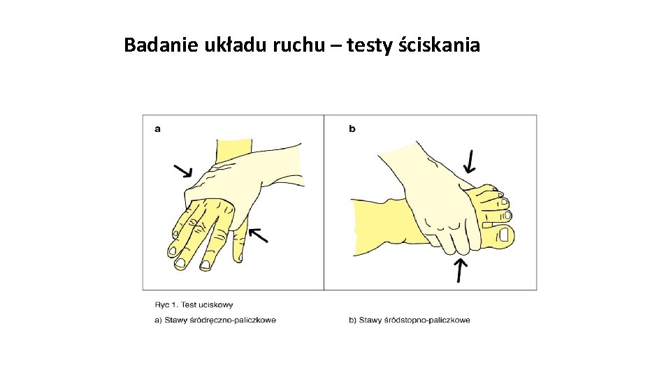Badanie układu ruchu – testy ściskania Badanie układu ruchu – testy ściskania