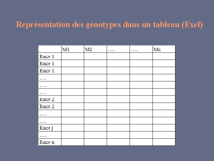 Représentation des génotypes dans un tableau (Exel) 