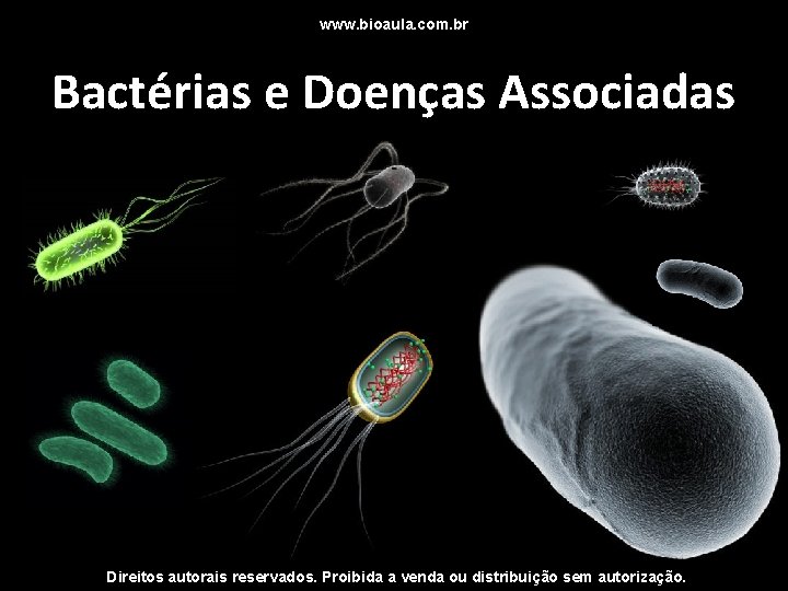 www. bioaula. com. br Bactérias e Doenças Associadas Direitos autorais reservados. Proibida a venda