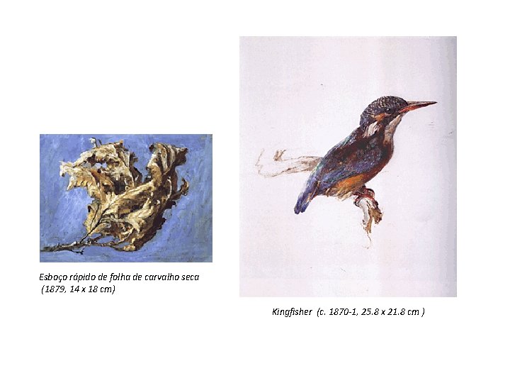 Esboço rápido de folha de carvalho seca (1879, 14 x 18 cm) Kingfisher (c.