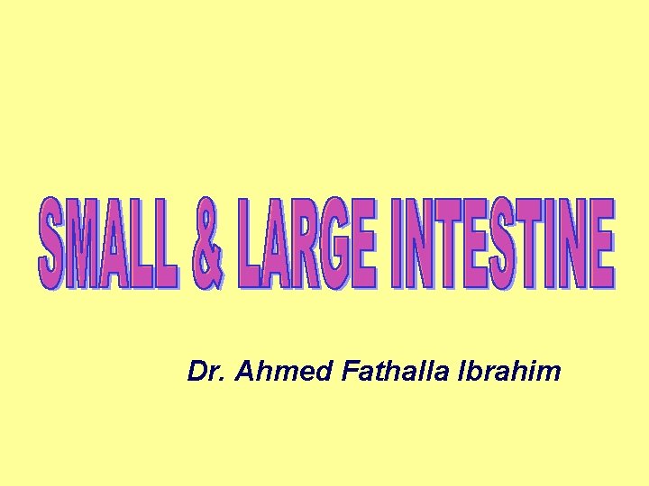 Dr. Ahmed Fathalla Ibrahim 