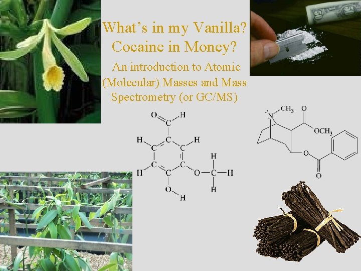 What’s in my Vanilla? Cocaine in Money? An introduction to Atomic (Molecular) Masses and