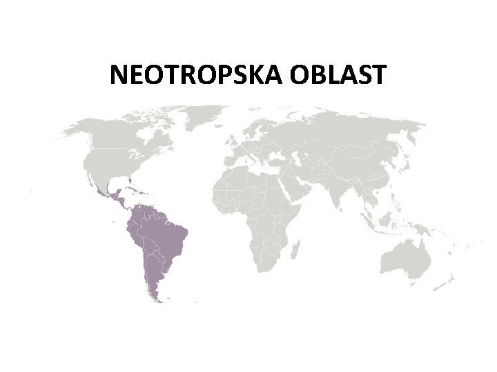 NEOTROPSKA OBLAST 