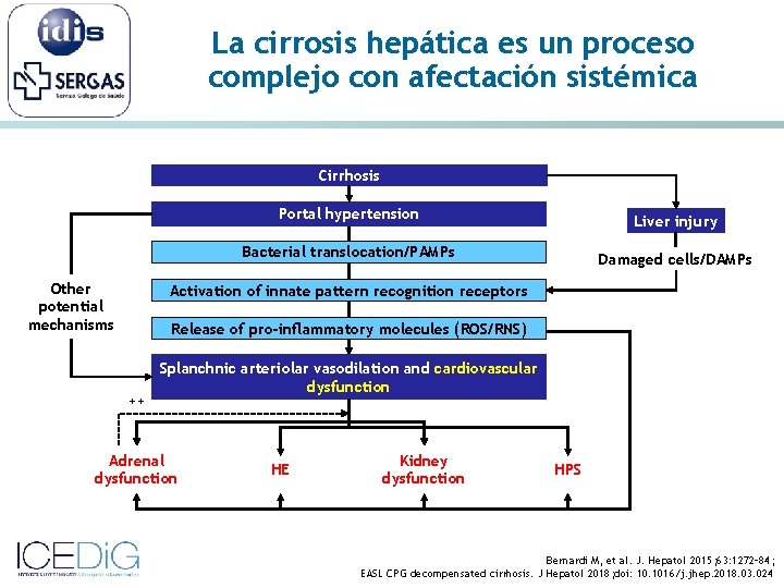 La cirrosis hepática es un proceso complejo con afectación sistémica Cirrhosis Other potential mechanisms