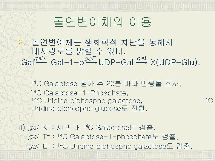 돌연변이체의 이용 2. 돌연변이체는 생화학적 차단을 통해서 대사경로를 밝힐 수 있다. gal. K gal.