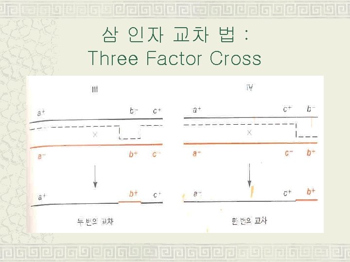 삼 인자 교차 법 : Three Factor Cross 