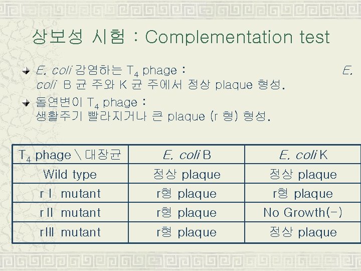 상보성 시험 : Complementation test E. coli 감염하는 T 4 phage : coli B