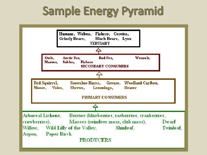 Sample Energy Pyramid 