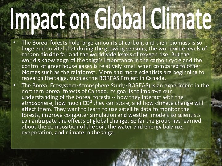  • The Boreal forests hold large amounts of carbon, and their biomass is