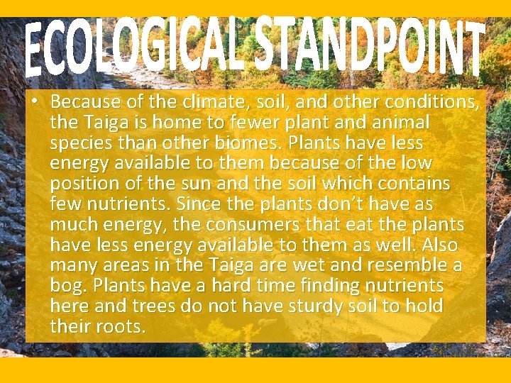  • Because of the climate, soil, and other conditions, the Taiga is home