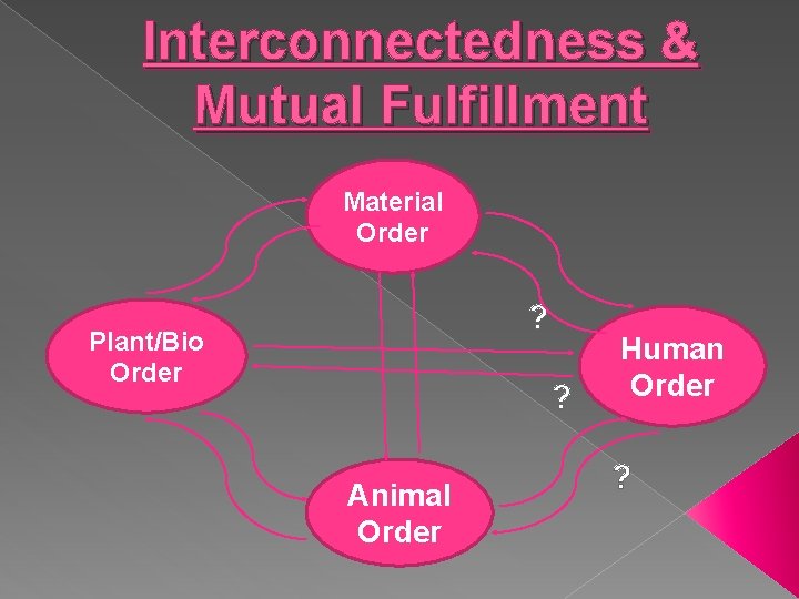 Interconnectedness & Mutual Fulfillment Material Order ? Plant/Bio Order ? Animal Order Human Order