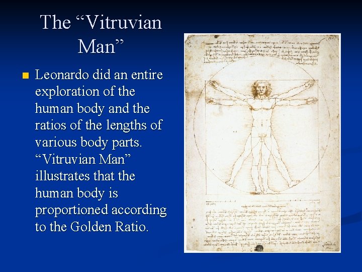 The “Vitruvian Man” n Leonardo did an entire exploration of the human body and