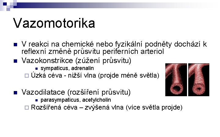 Vazomotorika n n V reakci na chemické nebo fyzikální podněty dochází k reflexní změně