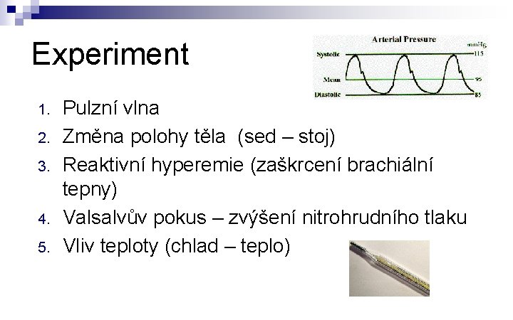 Experiment 1. 2. 3. 4. 5. Pulzní vlna Změna polohy těla (sed – stoj)