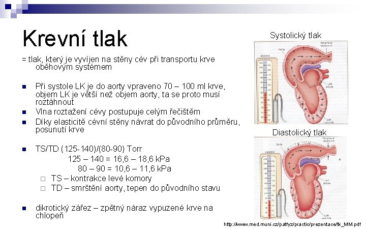 systolický tlak visok krvni pritisak prehrana