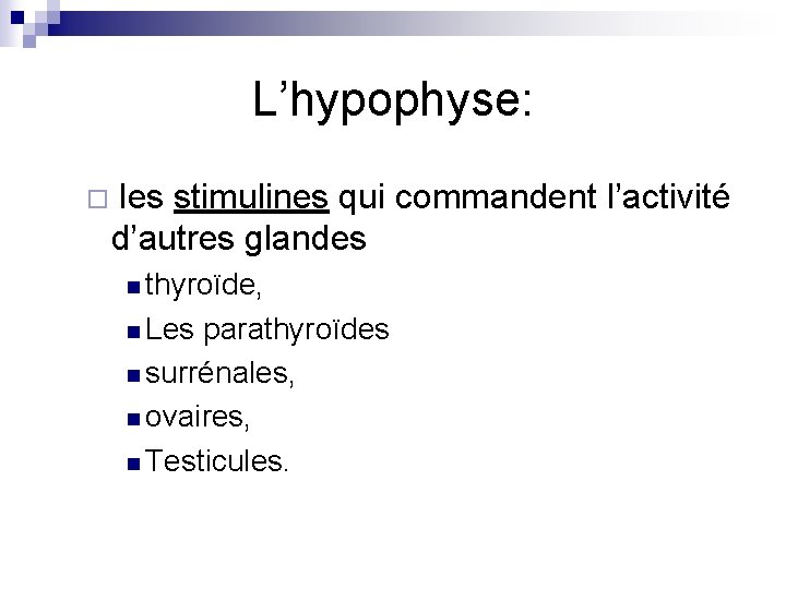 L’hypophyse: ¨ les stimulines qui commandent l’activité d’autres glandes n thyroïde, n Les parathyroïdes