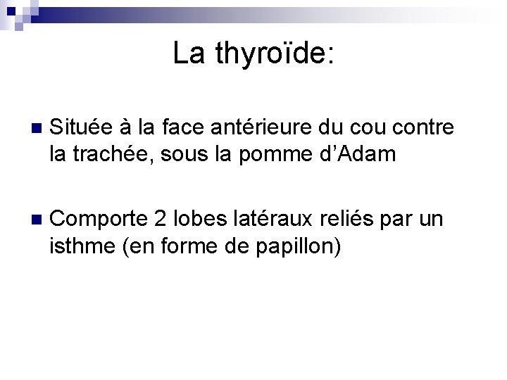 La thyroïde: n Située à la face antérieure du contre la trachée, sous la