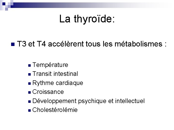 La thyroïde: n T 3 et T 4 accélèrent tous les métabolismes : n
