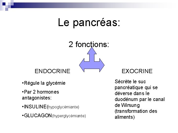 Le pancréas: 2 fonctions: ENDOCRINE • Régule la glycémie • Par 2 hormones antagonistes: