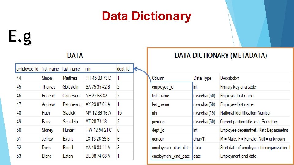 Data Dictionary E. g 