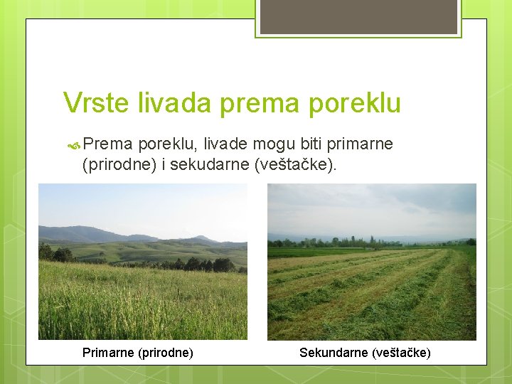 Vrste livada prema poreklu Prema poreklu, livade mogu biti primarne (prirodne) i sekudarne (veštačke).