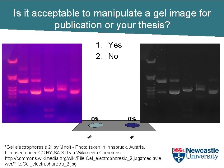 Is it acceptable to manipulate a gel image for publication or your thesis? 1.