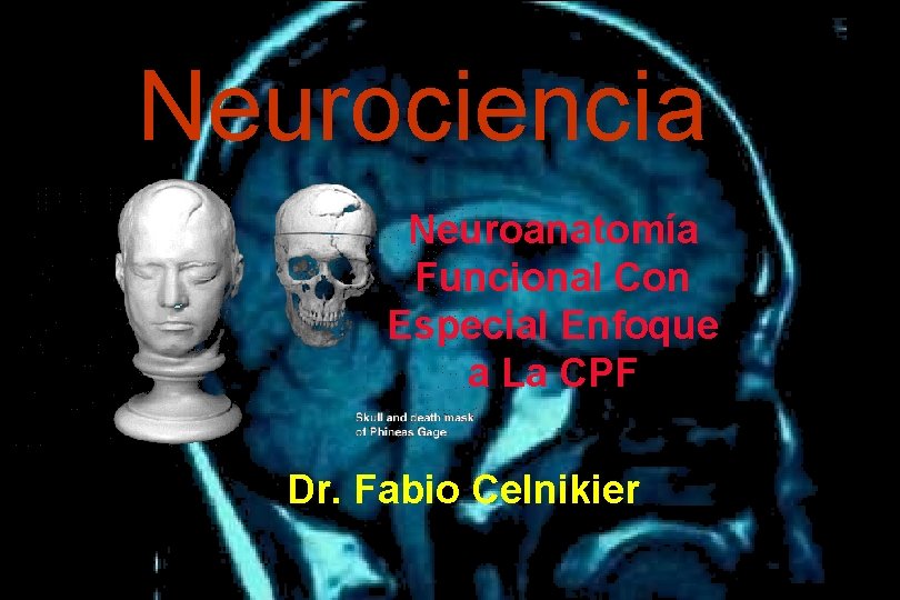Neurociencia Neuroanatomía Funcional Con Especial Enfoque a La CPF Dr. Fabio Celnikier 