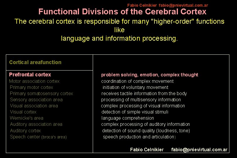 Fabio Celnikier fabio@pnievirtual. com. ar Functional Divisions of the Cerebral Cortex The cerebral cortex