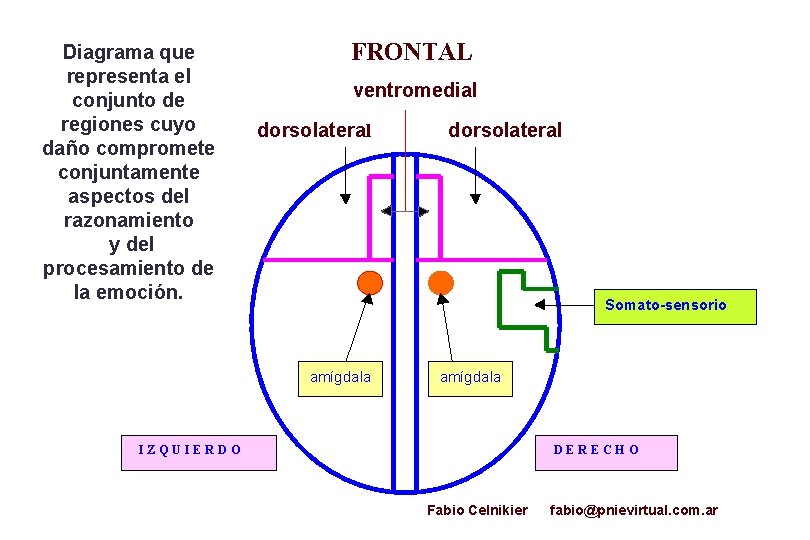 Diagrama que representa el conjunto de regiones cuyo daño compromete conjuntamente aspectos del razonamiento