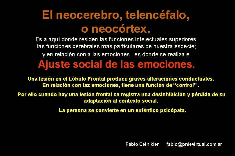 El neocerebro, telencéfalo, o neocórtex. Es a aquí donde residen las funciones intelectuales superiores,