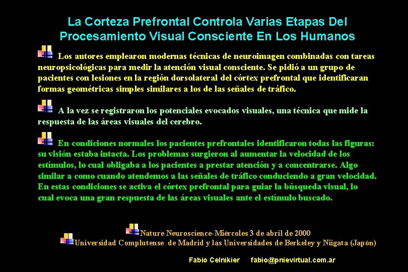 La Corteza Prefrontal Controla Varias Etapas Del Procesamiento Visual Consciente En Los Humanos Los