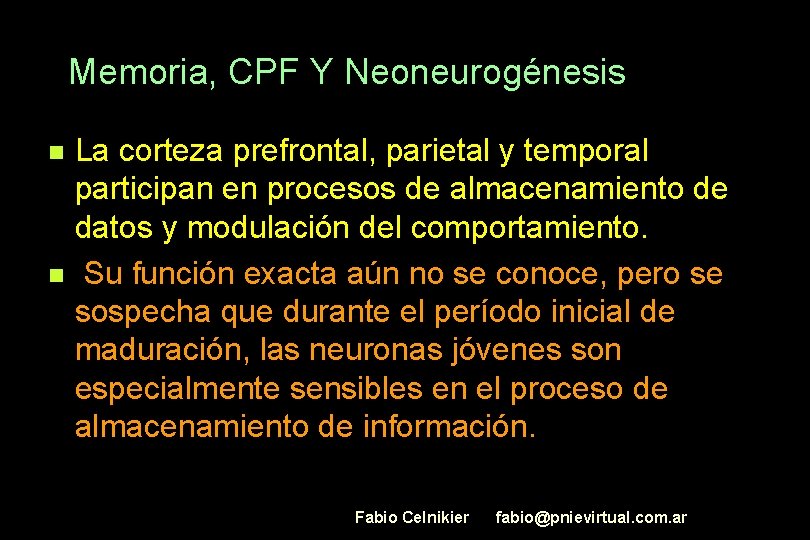 Memoria, CPF Y Neoneurogénesis n n La corteza prefrontal, parietal y temporal participan en