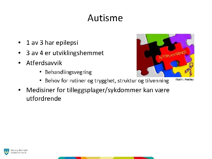 Autisme • 1 av 3 har epilepsi • 3 av 4 er utviklingshemmet •