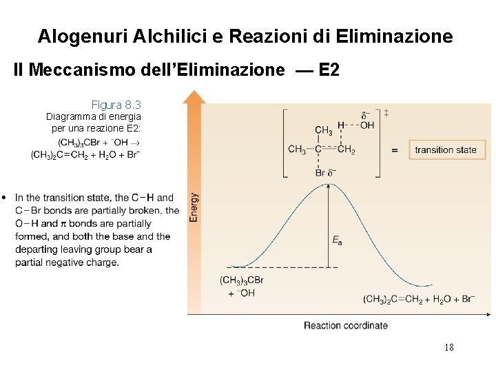 Alogenuri Alchilici e Reazioni di Eliminazione Il Meccanismo dell’Eliminazione — E 2 Figura 8.