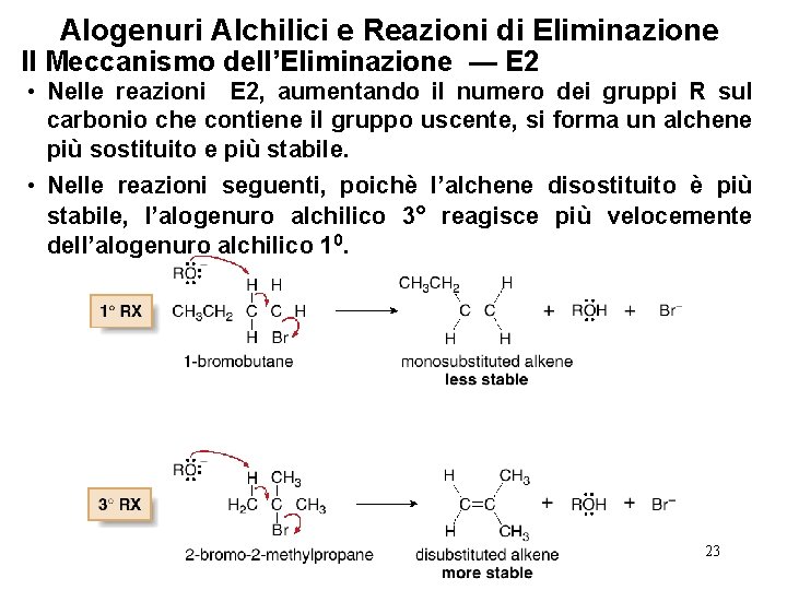 Alogenuri Alchilici e Reazioni di Eliminazione Il Meccanismo dell’Eliminazione — E 2 • Nelle