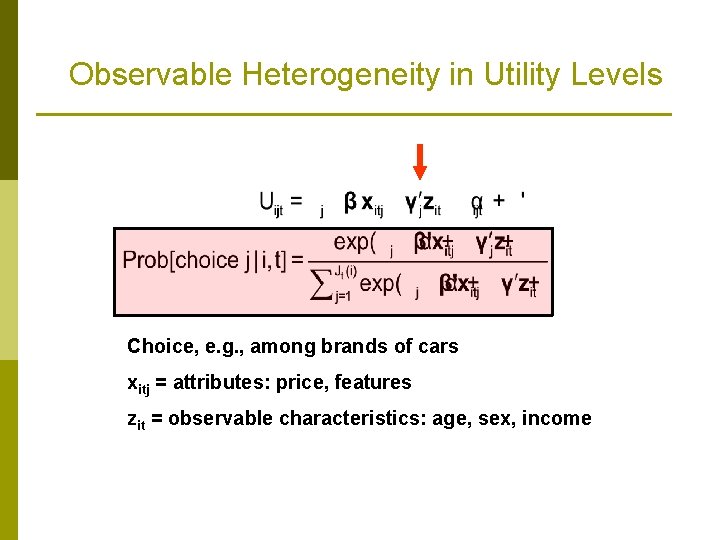 Observable Heterogeneity in Utility Levels Choice, e. g. , among brands of cars xitj