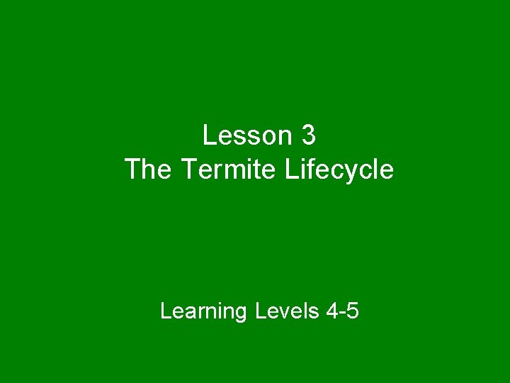 Lesson 3 The Termite Lifecycle Learning Levels 4 -5 