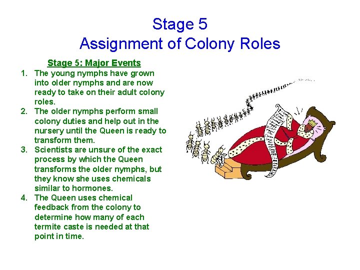 Stage 5 Assignment of Colony Roles Stage 5: Major Events 1. The young nymphs