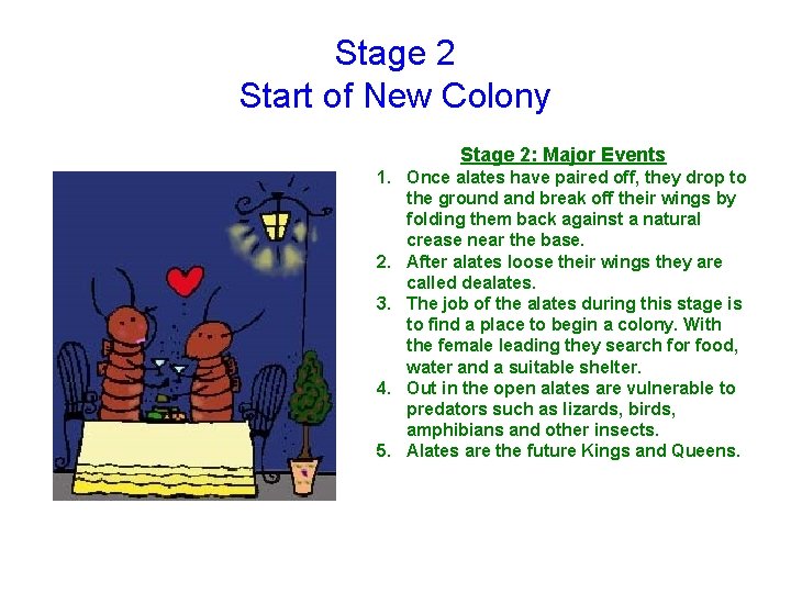Stage 2 Start of New Colony Stage 2: Major Events 1. Once alates have