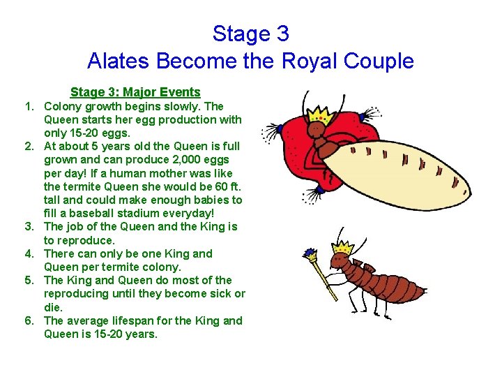 Stage 3 Alates Become the Royal Couple Stage 3: Major Events 1. Colony growth