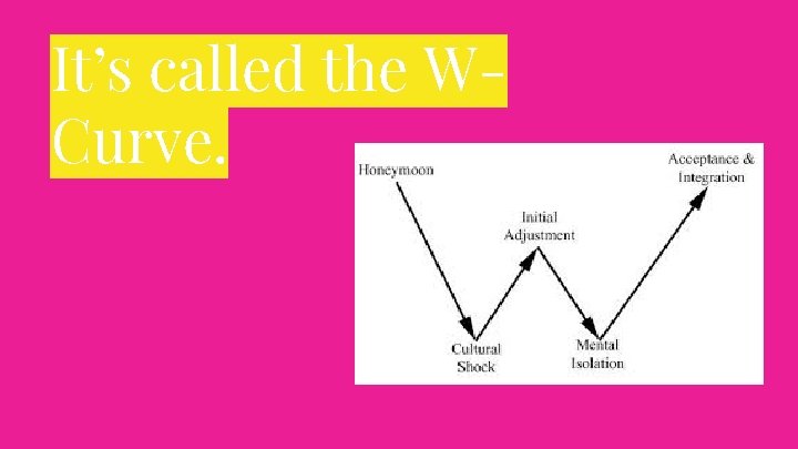 It’s called the WCurve. 