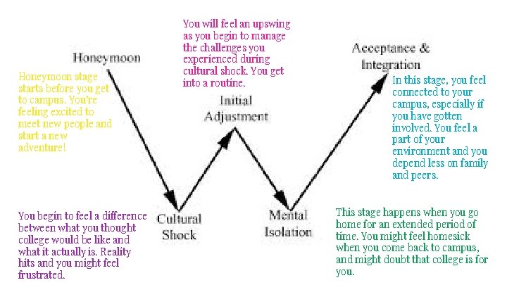 Honeymoon stage starts before you get to campus. You’re feeling excited to meet new