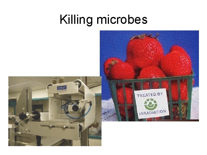 Killing microbes 