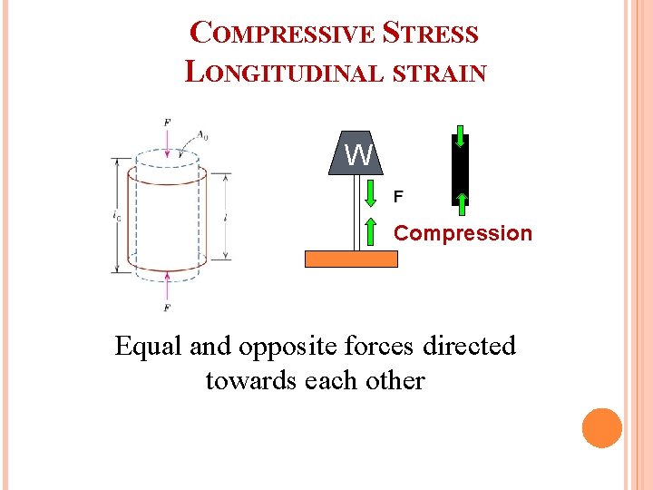 COMPRESSIVE STRESS LONGITUDINAL STRAIN W F Compression Equal and opposite forces directed towards each