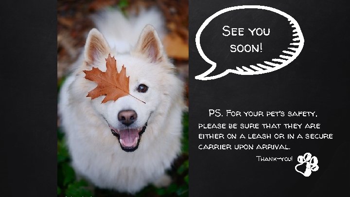 See you soon! PS. For your pet’s safety, please be sure that they are