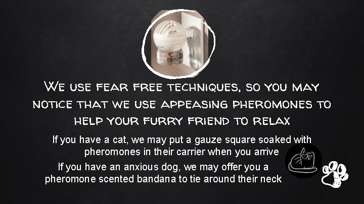 We use fear free techniques, so you may notice that we use appeasing pheromones