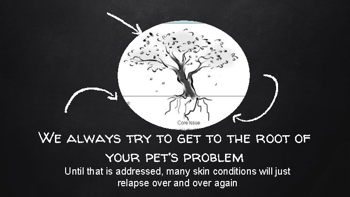 We always try to get to the root of your pet’s problem Until that