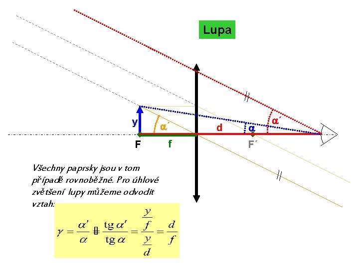 Lupa y F Všechny paprsky jsou v tom případě rovnoběžné. Pro úhlové zvětšení lupy