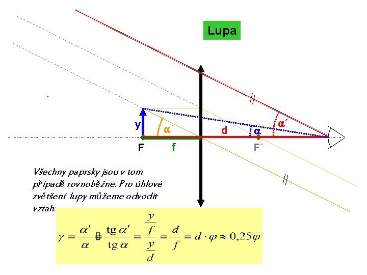 Lupa · y F Všechny paprsky jsou v tom případě rovnoběžné. Pro úhlové zvětšení