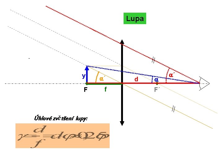 Lupa · y F Úhlové zvětšení lupy: a´ f d a F´ a´ 